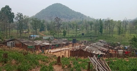କଟୁ ନାଜୁ
