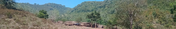 କଟୁ ନାଜୁ